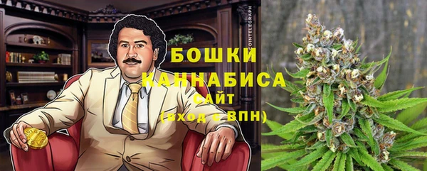 мдпв Богородицк