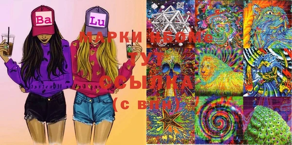 дживик Сатка