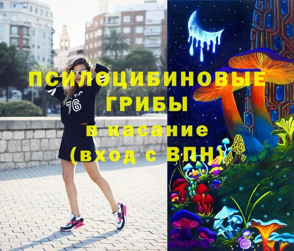 первитин Богданович