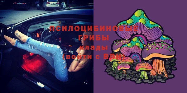 мдпв Богородицк