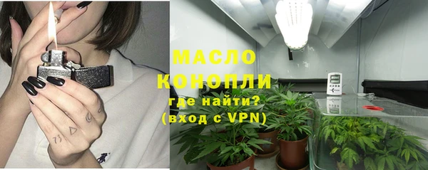 мдпв Богородицк